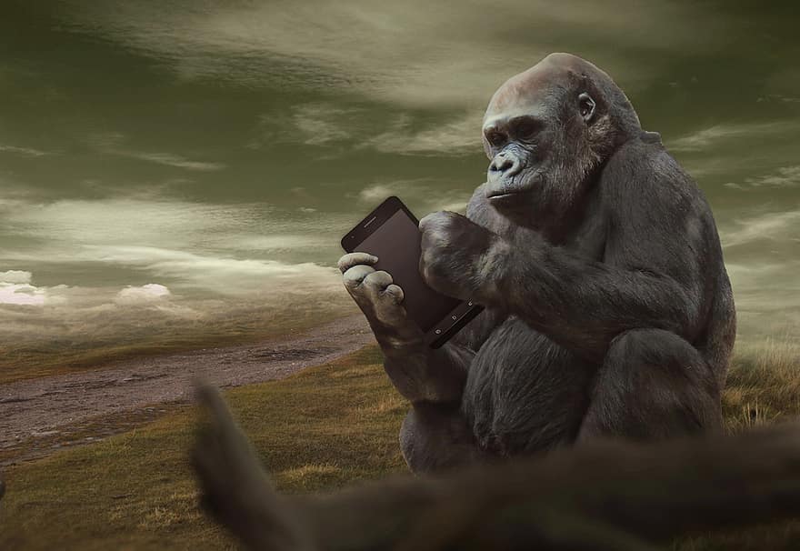 Fields, Gorilla, Tablet, Animal, Funny, Confused, Phone, Surreal, Photo Manipulation, Atmosphere, Mood