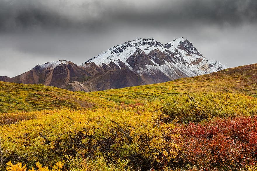 秋、山、牧草地、自然、風景、アラスカ、紅葉、葉、草、山頂、雪