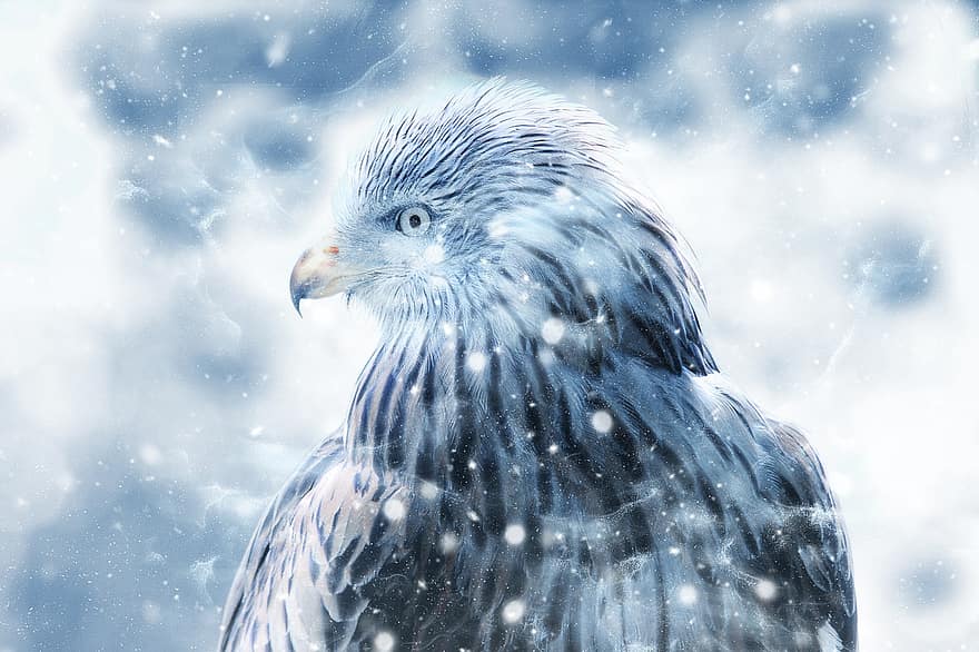uccello, falco, la neve, arte, Vintage ▾, inverno, natura, animale, decorativo, arte blu, uccelli blu