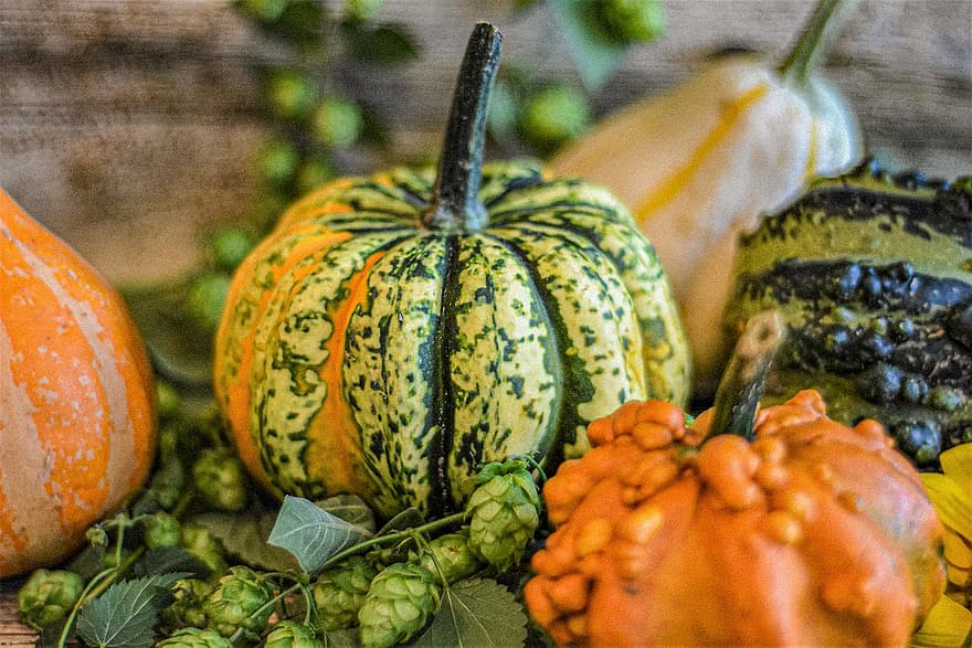 moliūgų, Helovinas, rudenį, tekstūra, daržovės, krepšelis, neapdorotas, derlius, šviežias, padėkos