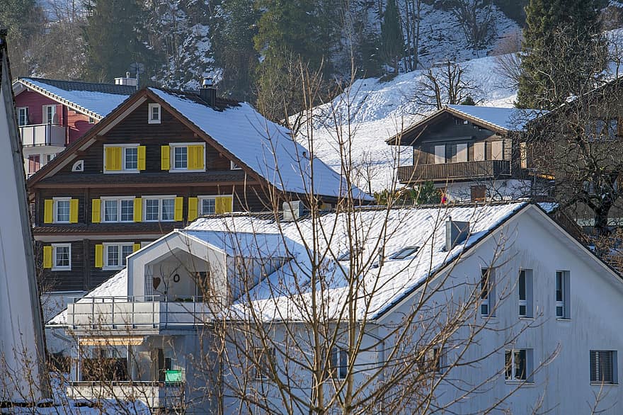 case, sat, iarnă, zăpadă, copaci, clădiri, arhitectură, rece, îngheţ, Morschach, Elveţia
