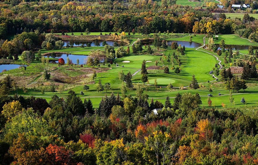 golf, corso di golf, country club, autunno, foresta, stagno