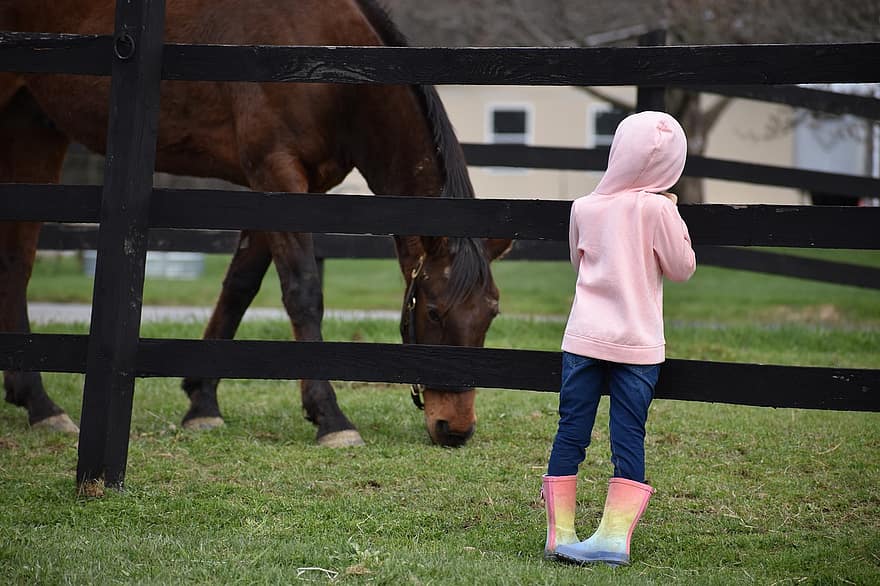 kind, meisje, paard, farm, kleine meid, paddock, bruin paard