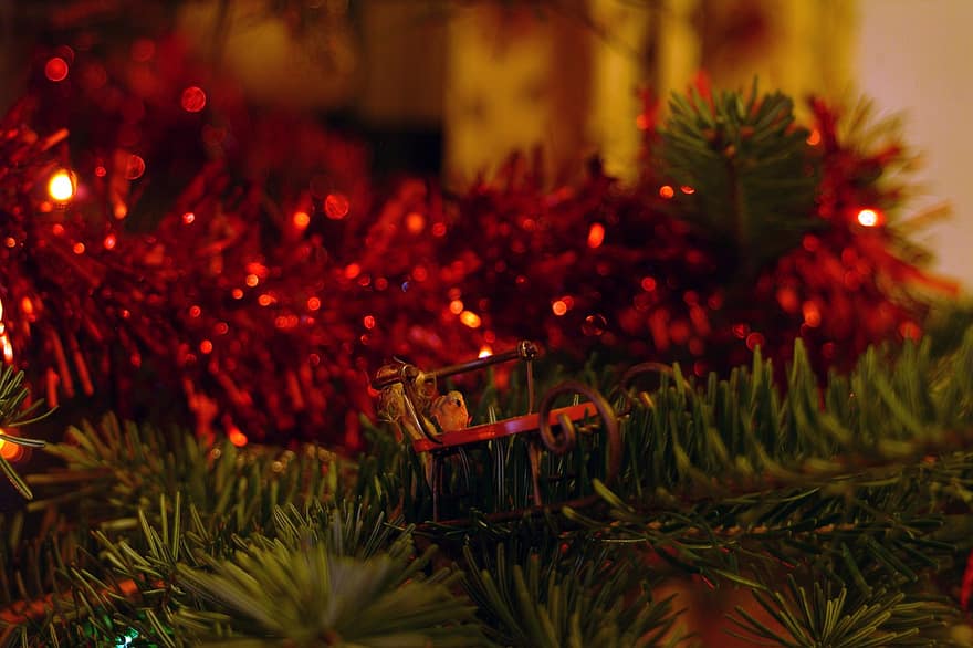 クリスマス、デコレーション、木、お祝い、贈り物、きらきら、シーズン、冬、クリスマスツリー、クリスマスの飾り、照らされた