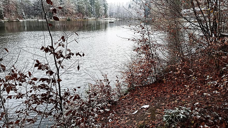 Lake, Water, Nature Reserve, Winter, Nature, Landscape, Fall, autumn, forest, leaf, tree