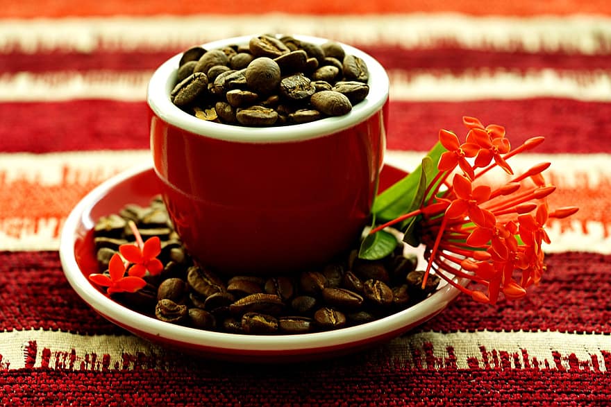 kaffe, kaffebønner, stekt kaffebønner, nærbilde, drikke, friskhet, bønne, mat, kaffe kopp, varme, temperatur