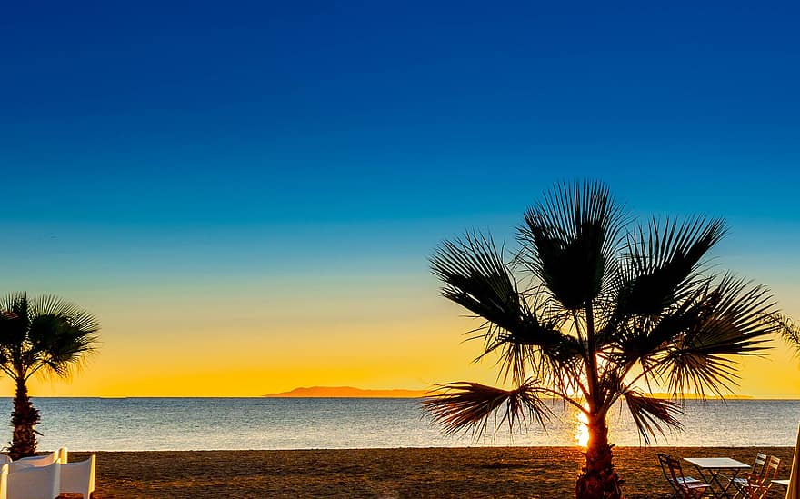 spiaggia, sabbia, oceano, ricorrere, alberi, palme, sagome, retroilluminazione, tramonto, crepuscolo, skyscape