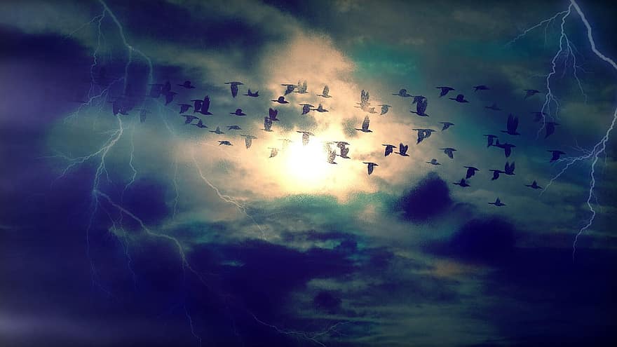 vogelstand, trekvogels, vliegend, vogelvlucht, hemel, wolken, onweersbui, blauw, zwart, zon, fantasie