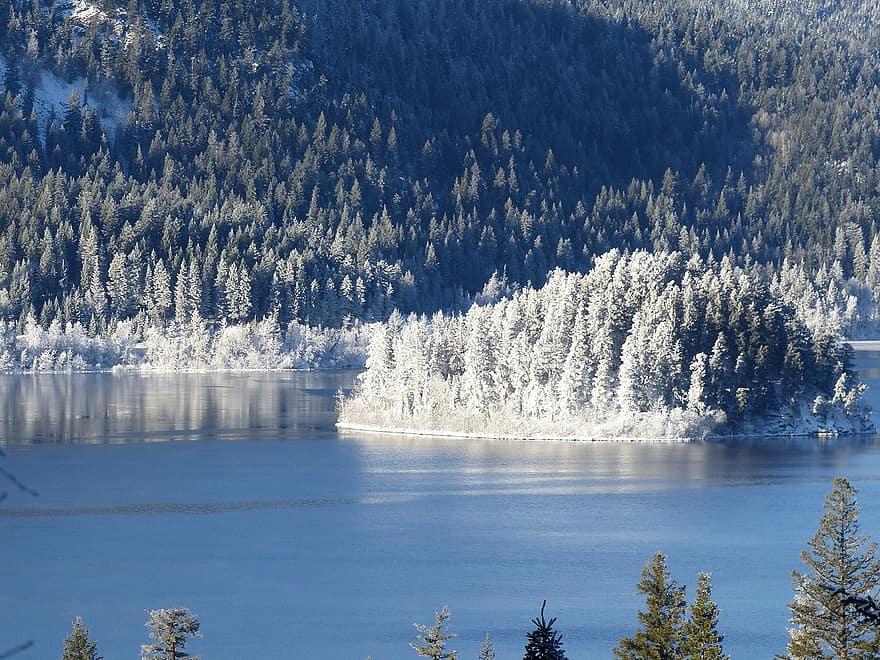 hivern, llac, illa, neu, arbres, bosc, naturalesa, paisatge, aigua, arbre, blau