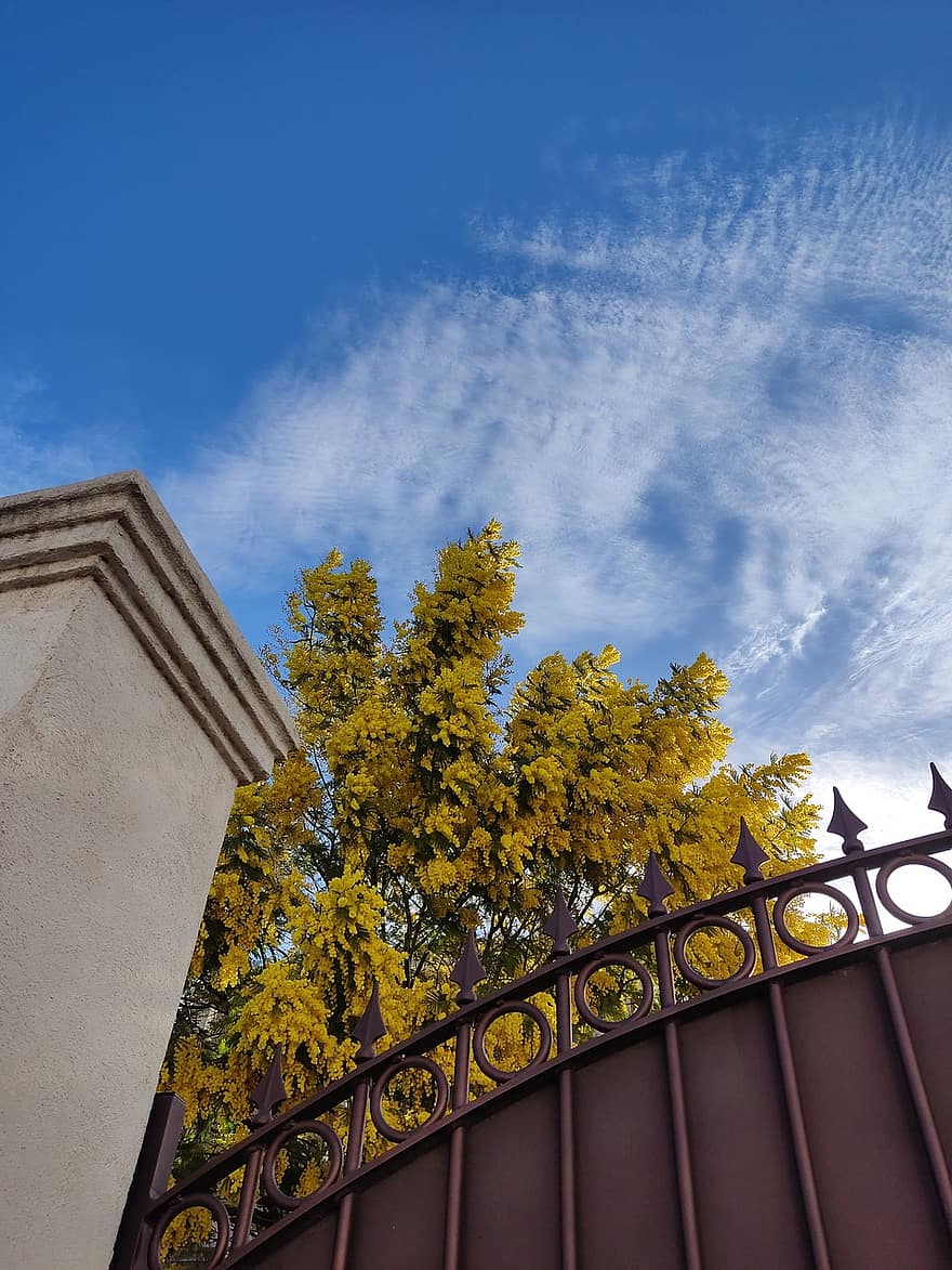 porte, bâtiment, portail, ciel, architecture, clôture, extérieur du bâtiment, jaune, bleu, arbre, feuille
