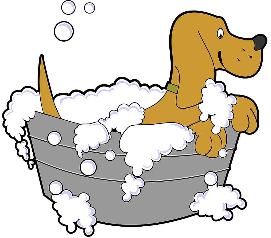 chien, une baignoire, toilettage, cuve, animal de compagnie, savon, dessin animé, animal, isolé, mammifère, queue
