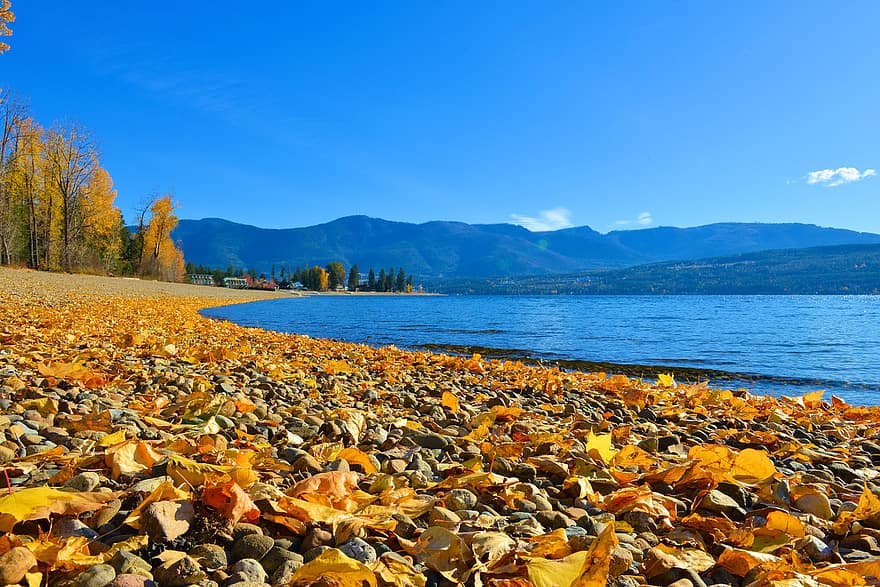 jezero, podzim, u jezera, Příroda, modrý, voda, krajina, žlutá, letní, sezóna, les