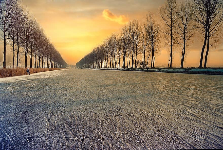 Belgia, vinter, solnedgang, natur, trær, landsbygda, tre, årstid, sollys, skog, landskap