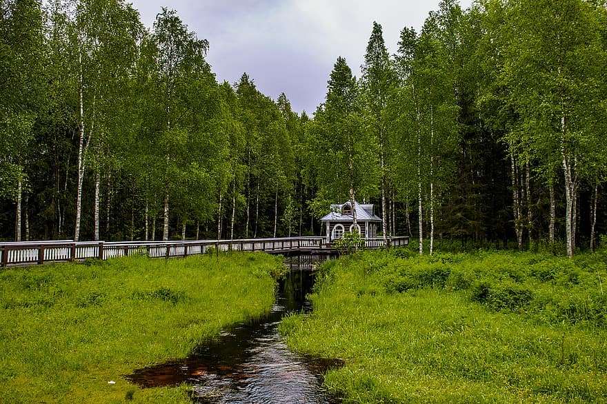 hut, cabine, brug, heilige, bron, Bos, boom, landschap, zomer, gras, groene kleur