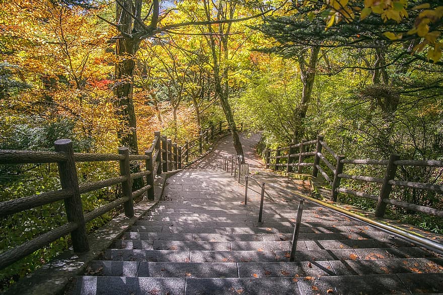 parc, escaliers, des arbres, feuilles, l'automne, la nature, paysage, périple, tourisme