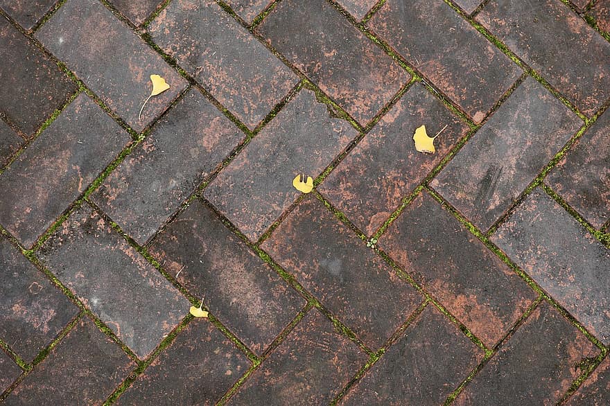 Brick, Wet, Ground, Texture, Autumn, Defoliation, backgrounds, leaf, close-up, pattern, green color