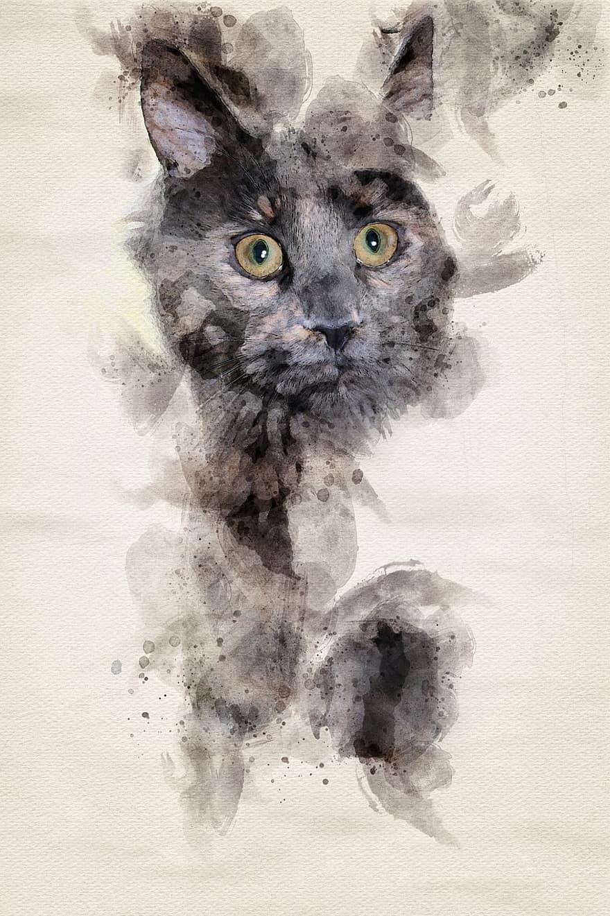 kedi, hayvan, yağlı boya, memeli, bıyık, portre, Petrol Portresi, Sanat