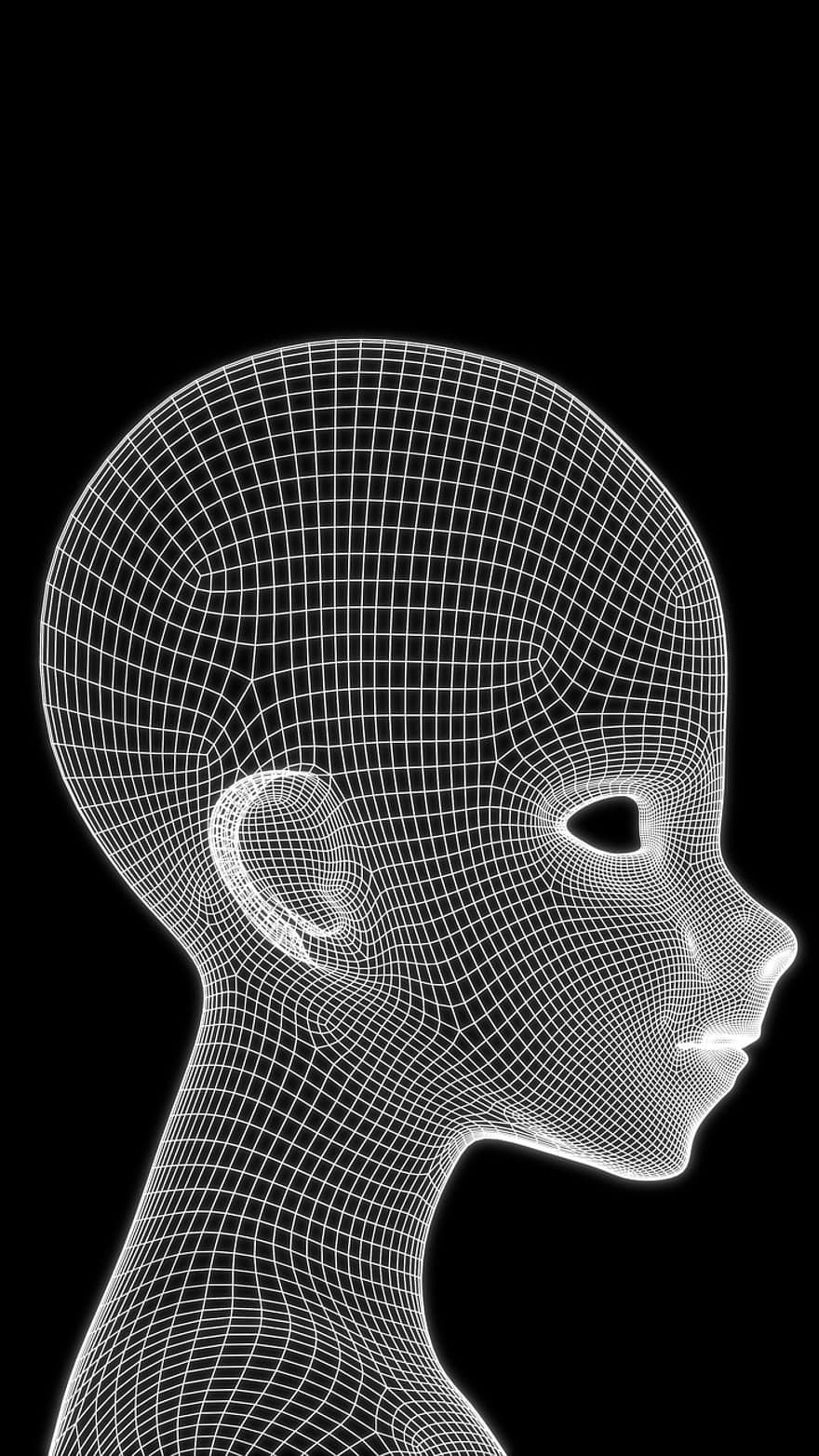 หัว, เป็นมนุษย์, ใบหน้า, 3d, ทางเรขาคณิต, แบบ, กรอบตาข่าย, กราฟิก, โครงสร้าง, การกระทำ, วัตถุ