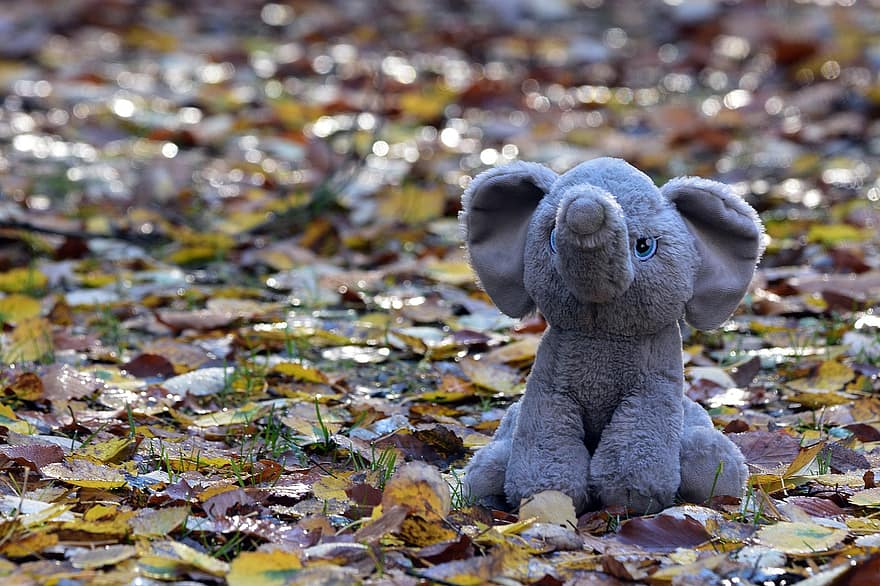 плюшева іграшка, опудала іграшки, Фарширований слон, осінь, земля, листя