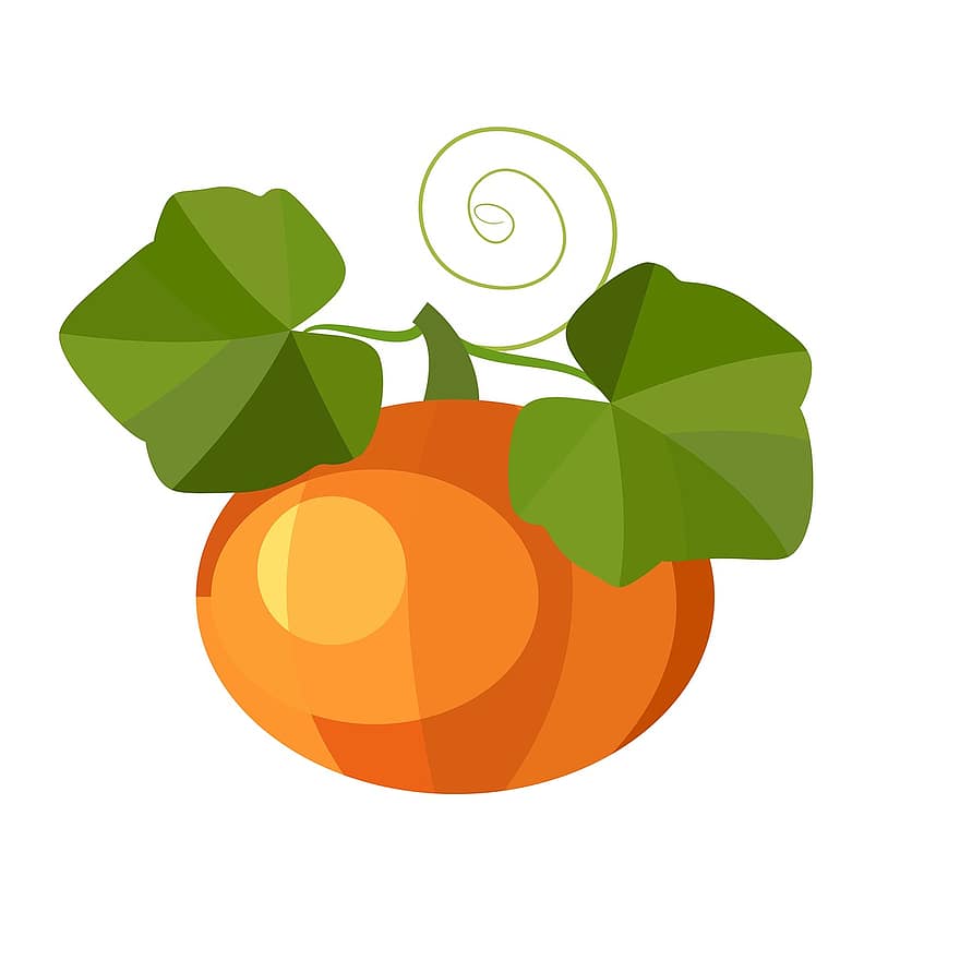 Pumpkin, Leaves, Autumn, Harvest, Fruit, Yellow, Halloween, Vegetable Garden, Garden, Young, Orange