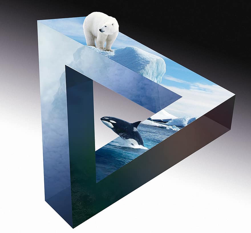 oso polar, Wal, orca, icebergs, nubes, mar profundo, investigación, naturaleza, aventuras, relacionado, simbiosis