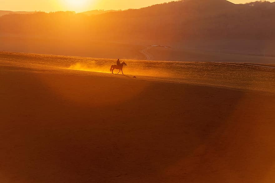 maisema, hevosratsastus, ratsastaa, seikkailu, eläin, hevonen, nisäkäs, auringonlasku, aurinko, hiekka, kesä