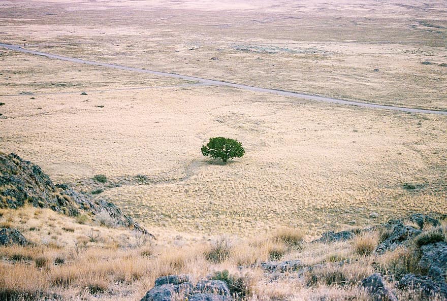 désert, terre aride, paysage, sécheresse, campagne, la nature, Utah