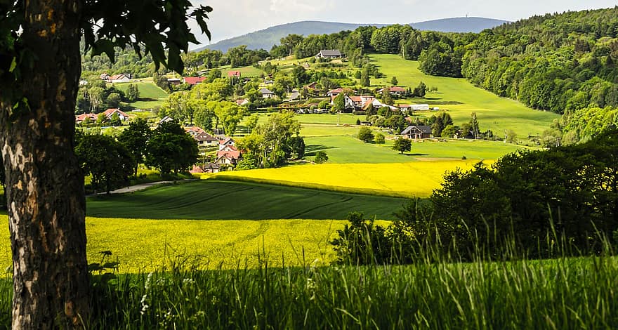 ciemats, Ielejā, ainavu, kalni, zemākā silēzija, lauku ainas, saimniecība, pļava, vasarā, zaļā krāsa, zāli
