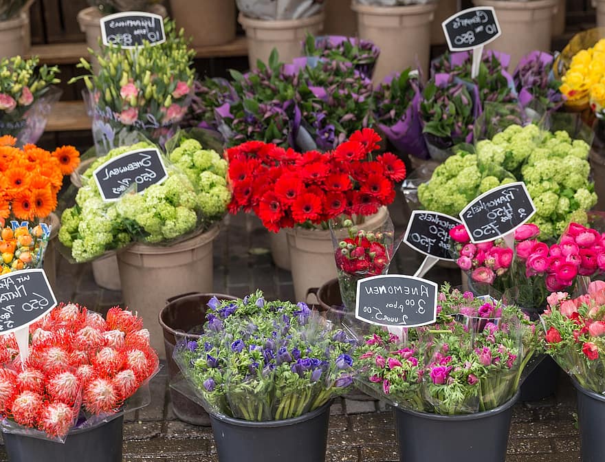 цветы, рынок, цветение, цвести, ботаника, природа, на открытом воздухе
