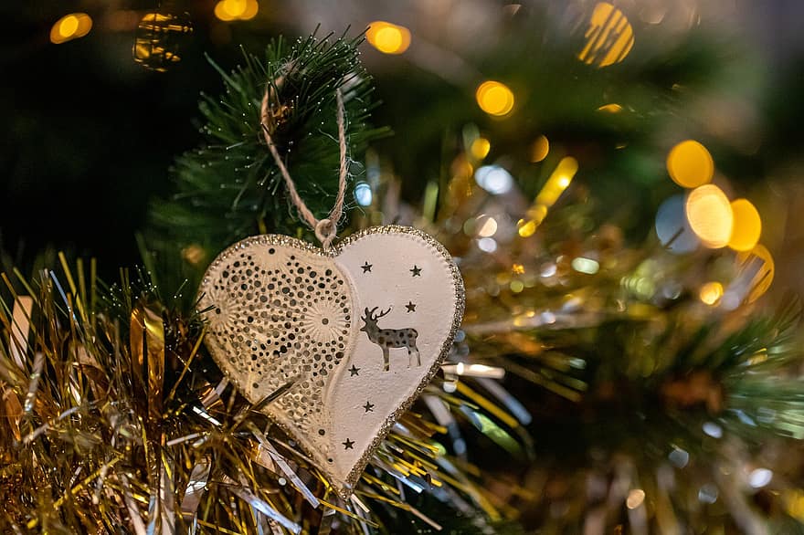 Heart, Decoration, Christmas, Fir