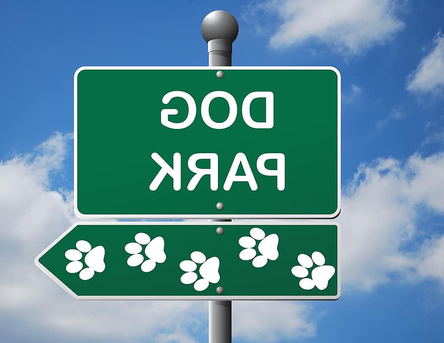 hundepark, skilt, parkere, hund, grønn, informasjon, legge merke til, blå, himmel, skyer, pawprint