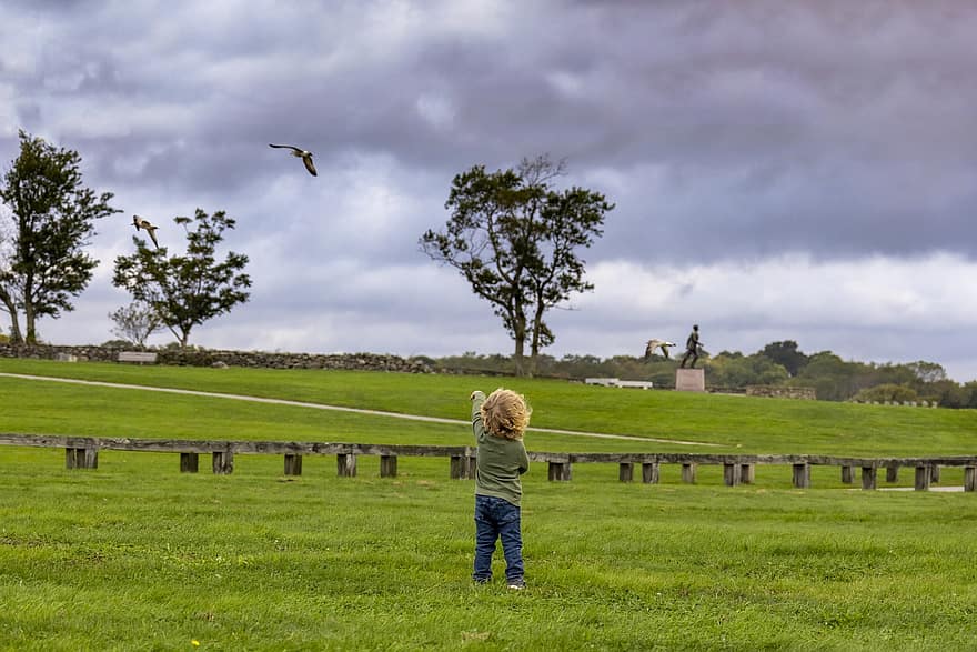 đứa trẻ, cánh đồng, công viên, ngoài trời, chơi, một mình, chim, bay, băng ghế
