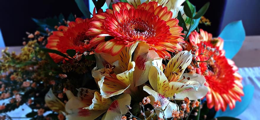 gėlės, augalai, puokštė, žiedlapių, žydi, supjaustytos gėlės, dekoratyvinis, apdaila