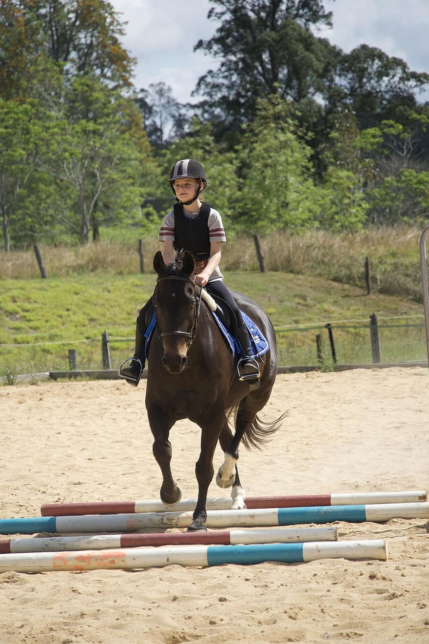 menunggang kuda, kuda, melompat, penunggang kuda, pengendara, anak, berkuda, hewan, rekreasi, Arena Berkuda