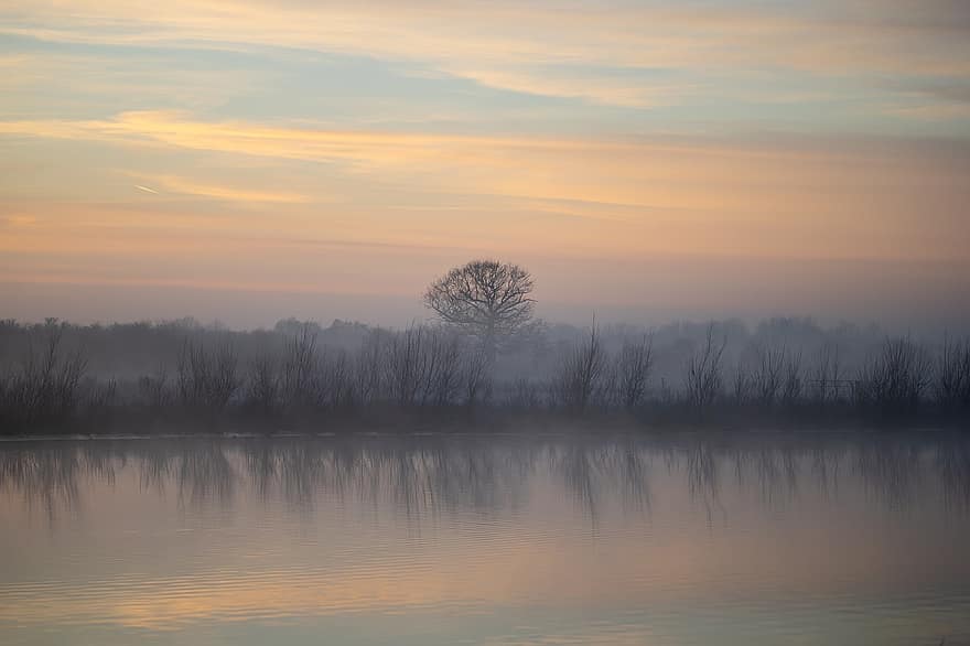 meer, mist, ochtend-, natuur, zonsopkomst, dageraad, bomen, riet, water, mistig, reflectie
