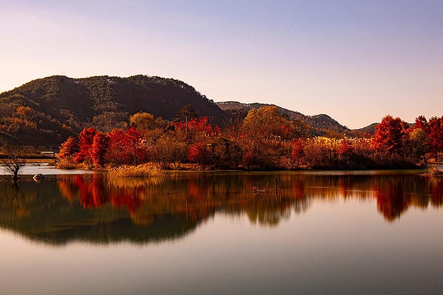 jezero, Příroda, podzim, les, stromy, hory, scenérie, voda, strom, krajina, žlutá