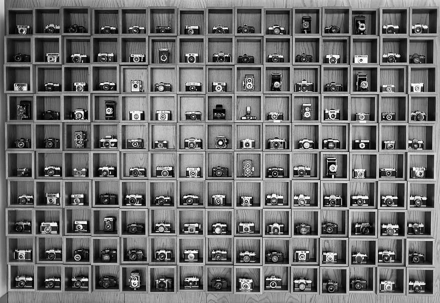 Kameras, Regal, Sammlung, Antiquität, Jahrgang, retro, alt, Fotografie
