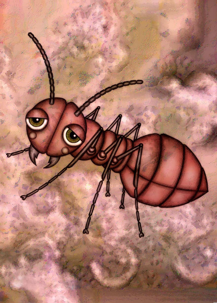 илюстрация, чертеж, мравка