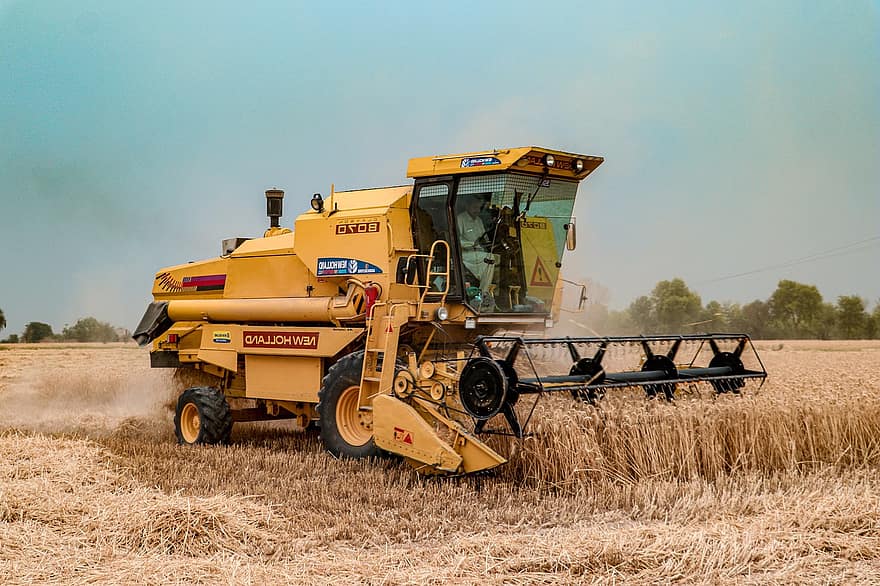 Reaper-binder, Wheat Harvesting Machine, Agricultural Machine, Harvesting Machine, Combine Harvester, Crops Machine, agriculture, working, harvesting, rural scene, machinery