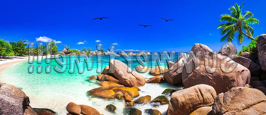 sommer, sommertid, strand, ø, paradis, naturskøn, Seychellerne, gå væk, slap af, landskab, panorama