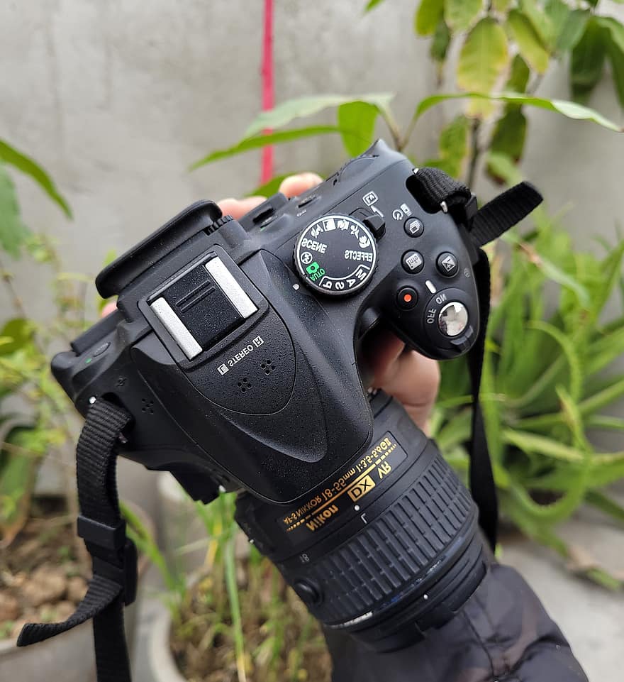 камера, DSLR, фотография, фотограф, оборудование, объектив