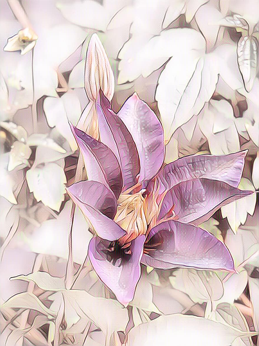 Clematis, Pastel, Climber Plant, Digital Painting, Nature, Pink, Abstract