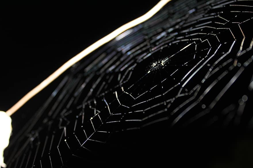 pavoučí síť, web, noc, temný, zblízka, detail, pozadí, pokles, makro, pavouk, rosa