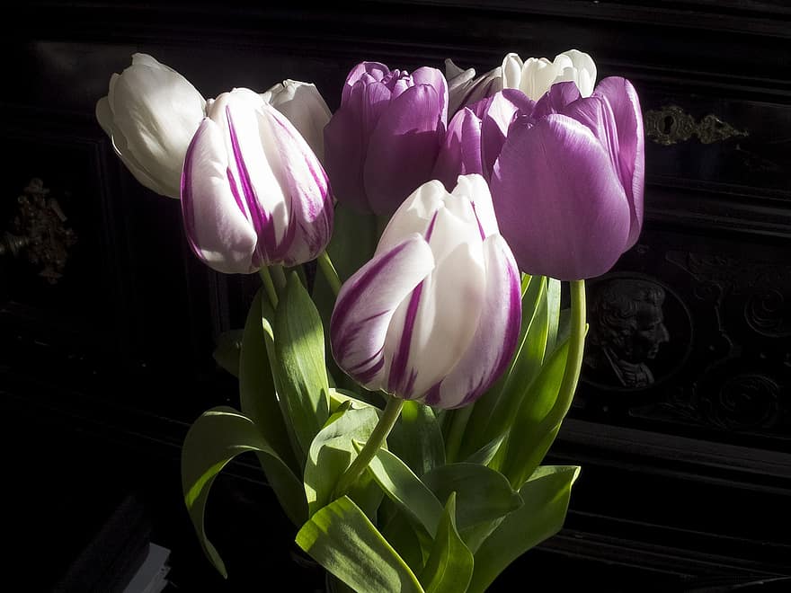 las flores, tulipanes, ramo de flores, naturaleza, decoración, floración, flor, botánica, planta, tulipán, cabeza de flor