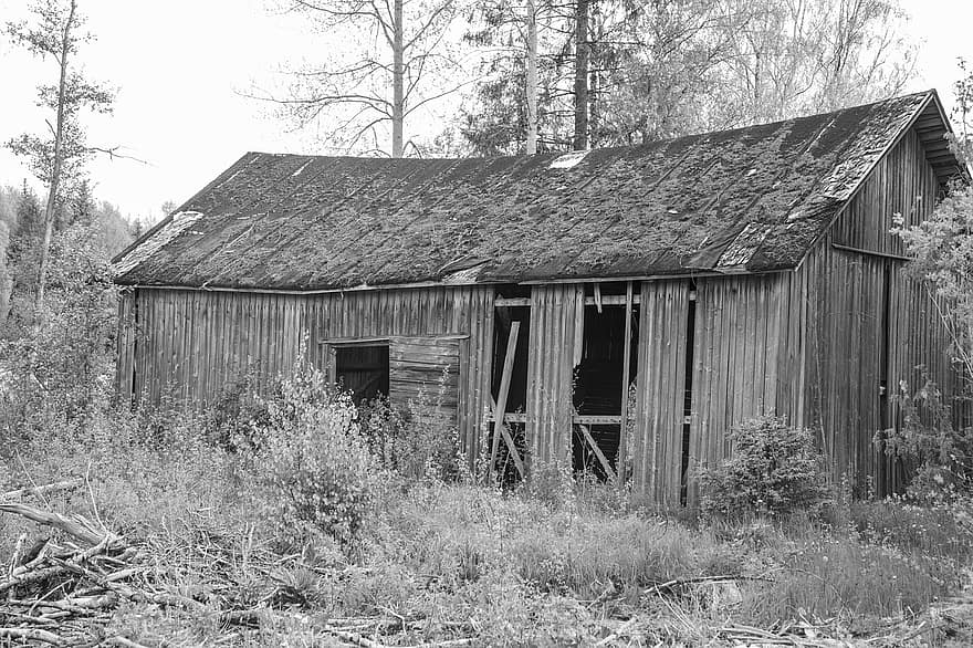 Building, Barn, Agricultural, Shelter, old, abandoned, wood, rural scene, roof, weathered, architecture