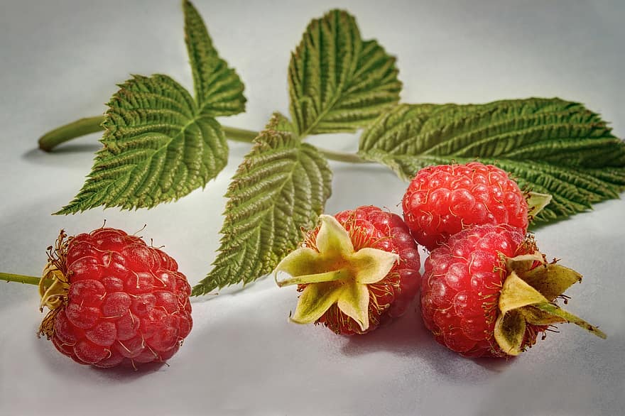 ягода, малина, макрос, смачно, стиглий, вітаміни, літо, їжа, червоний, листя, листя малини