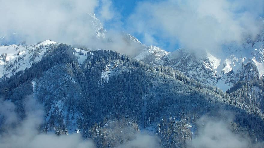 montañas, Parque natural Gantrisch, paisaje de invierno, nieve, naturaleza, Alpes, arboles, Tierras Altas de Berna, montaña, invierno, bosque