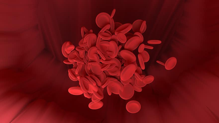 rød blodcelle, beholder, videnskab, 3d, eksperiment, forskning
