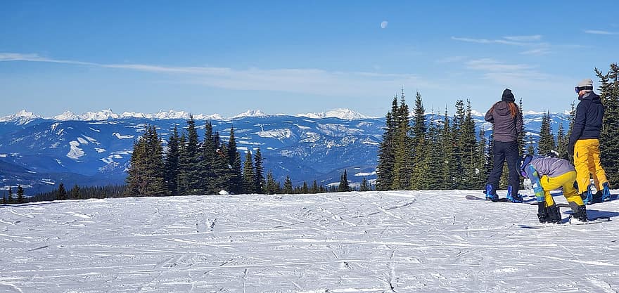 stå på ski, sne, træer, vinter, piste, skråninger, skiløbere, bjerge, Skistien, ski løjper, gran træer