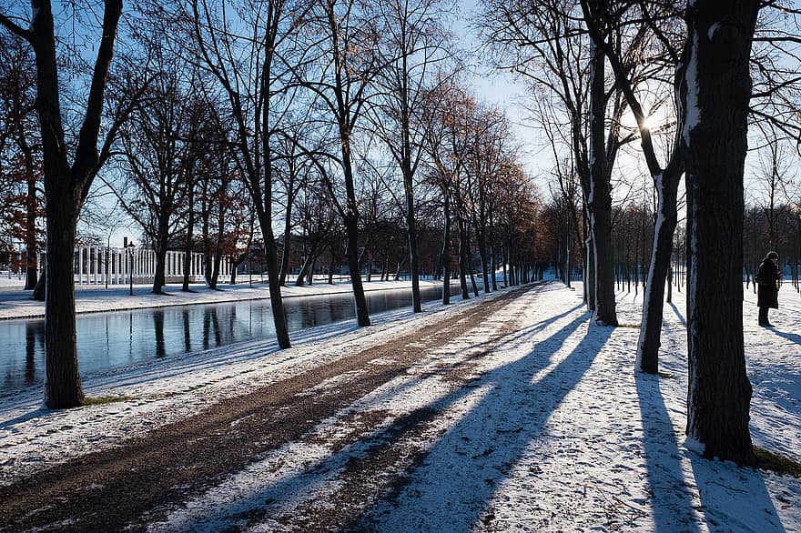나무, 눈, 수단, 줄 지어 나무, 떨어져, 겨울, 햇빛, 흰 서리, 강, 눈이 내리는, 냉랭한